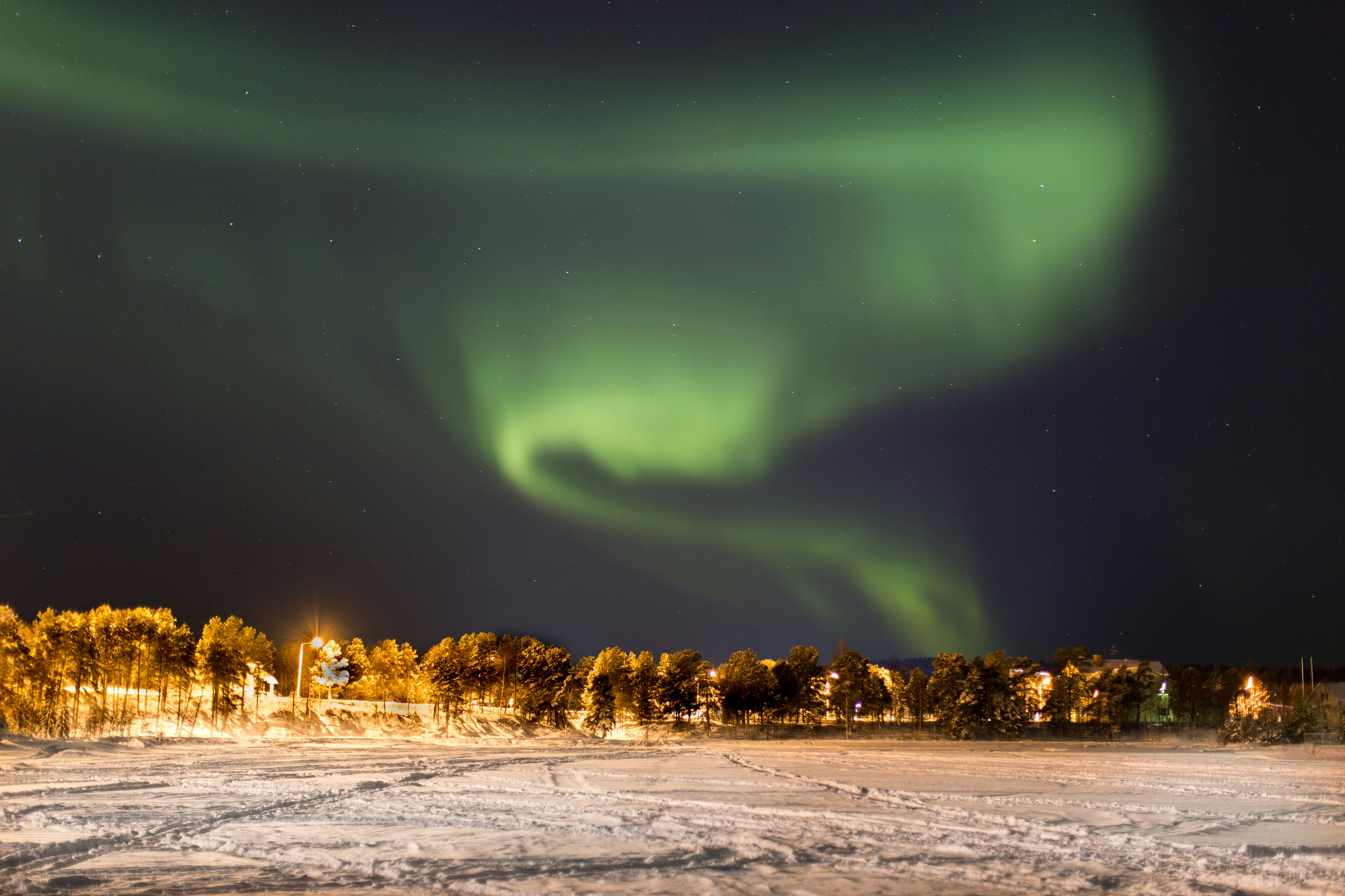 green leaf trees under aurora lights during nighttime